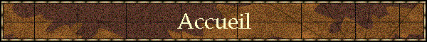 Accueil