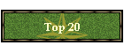 Top 20
